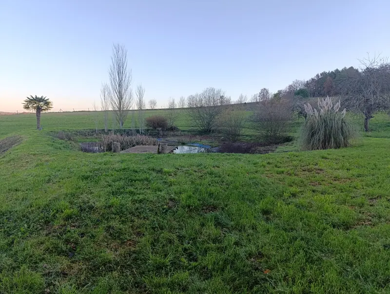 Le bassin et la prairie au coucher du soleil